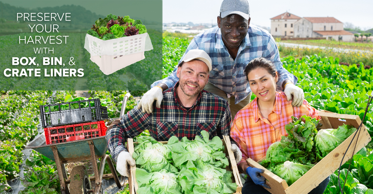 Box Liners Protect your produce during Harvest Season